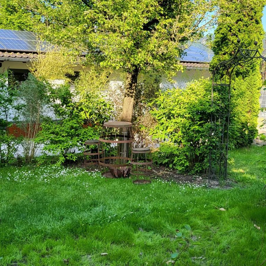 Ferienwohnungen Beim Silbergersee 奥博奥多夫 外观 照片