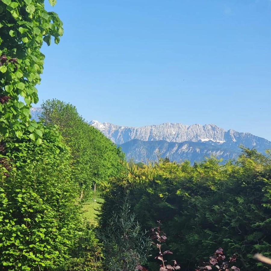 Ferienwohnungen Beim Silbergersee 奥博奥多夫 外观 照片